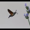 20150710_0003